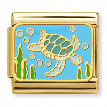 Sea Turtle in Aquatic Charm