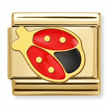 Ladybug with Red and Black Charm